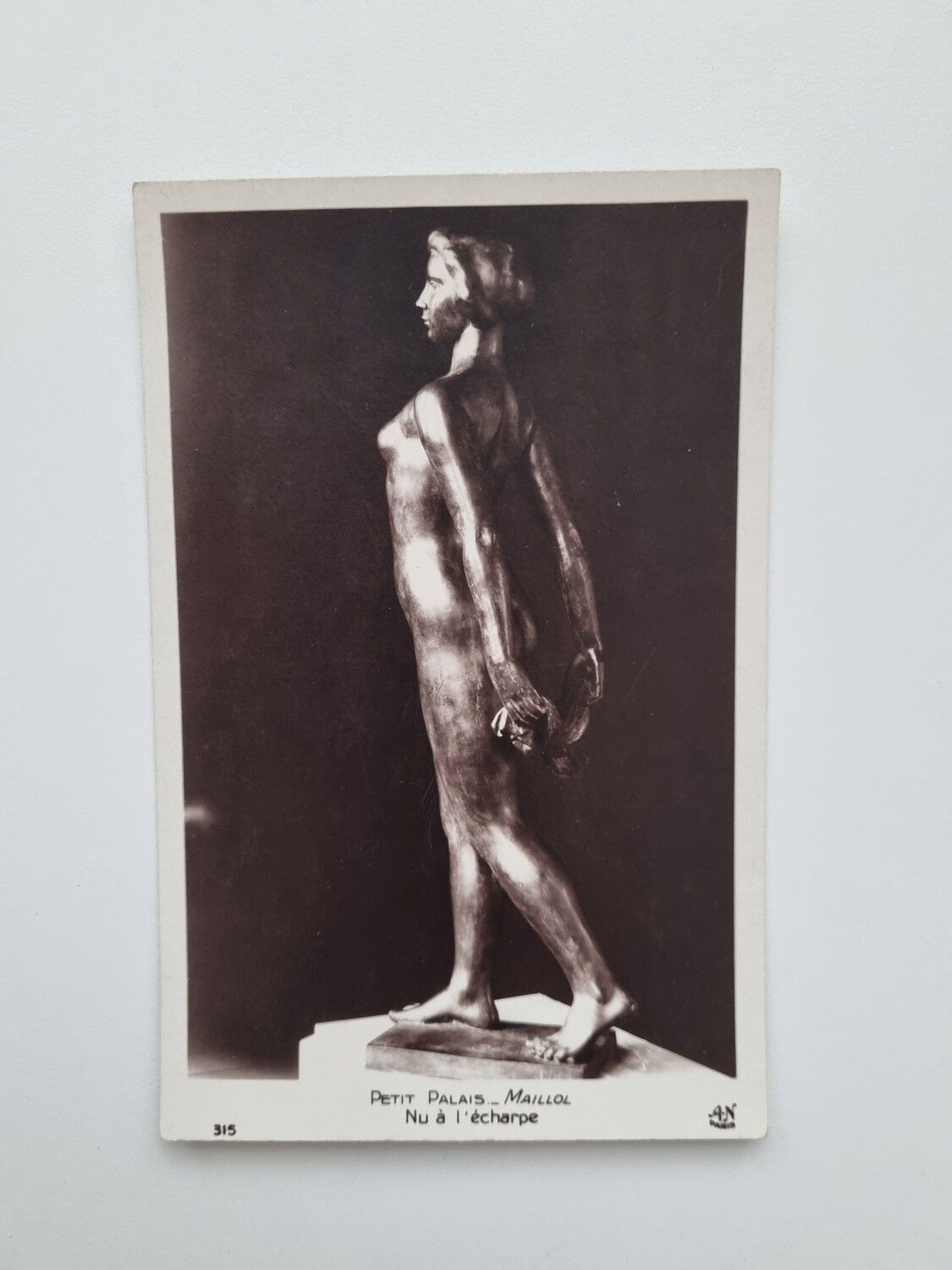Vykort PETIT PALAIS MAILLOL