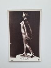 Vykort PETIT PALAIS MAILLOL