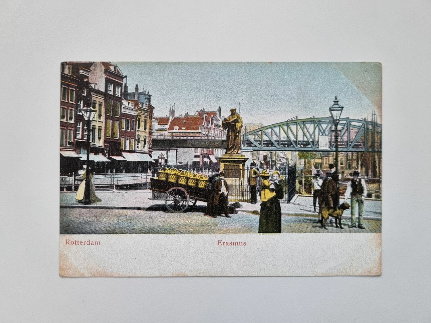 Vykort Rotterdam Erasmus