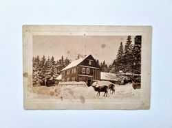 Vykort Rådjur framför hus