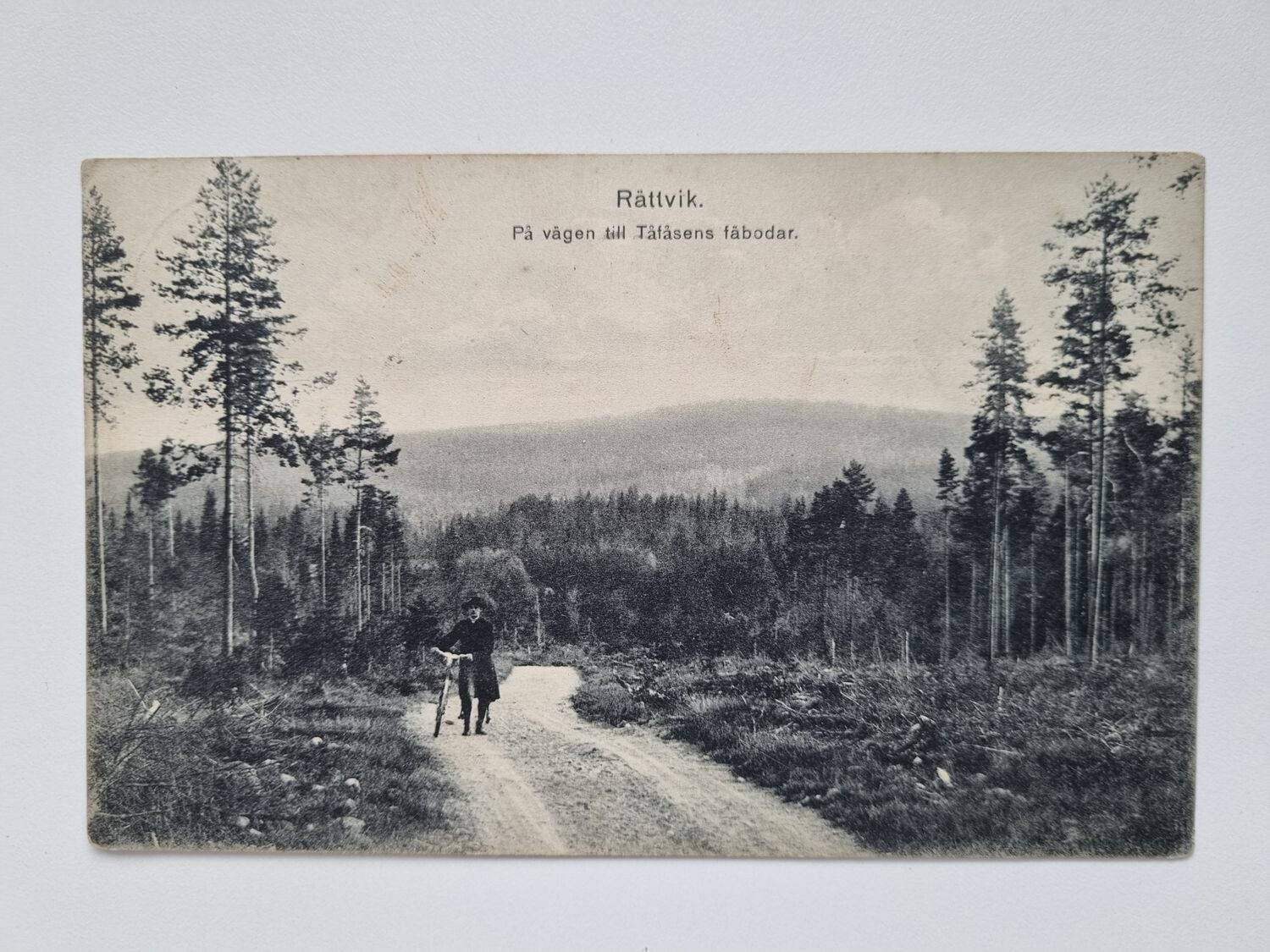 Vykort Rättvik. På vägen till Tåfåsens fäbodar