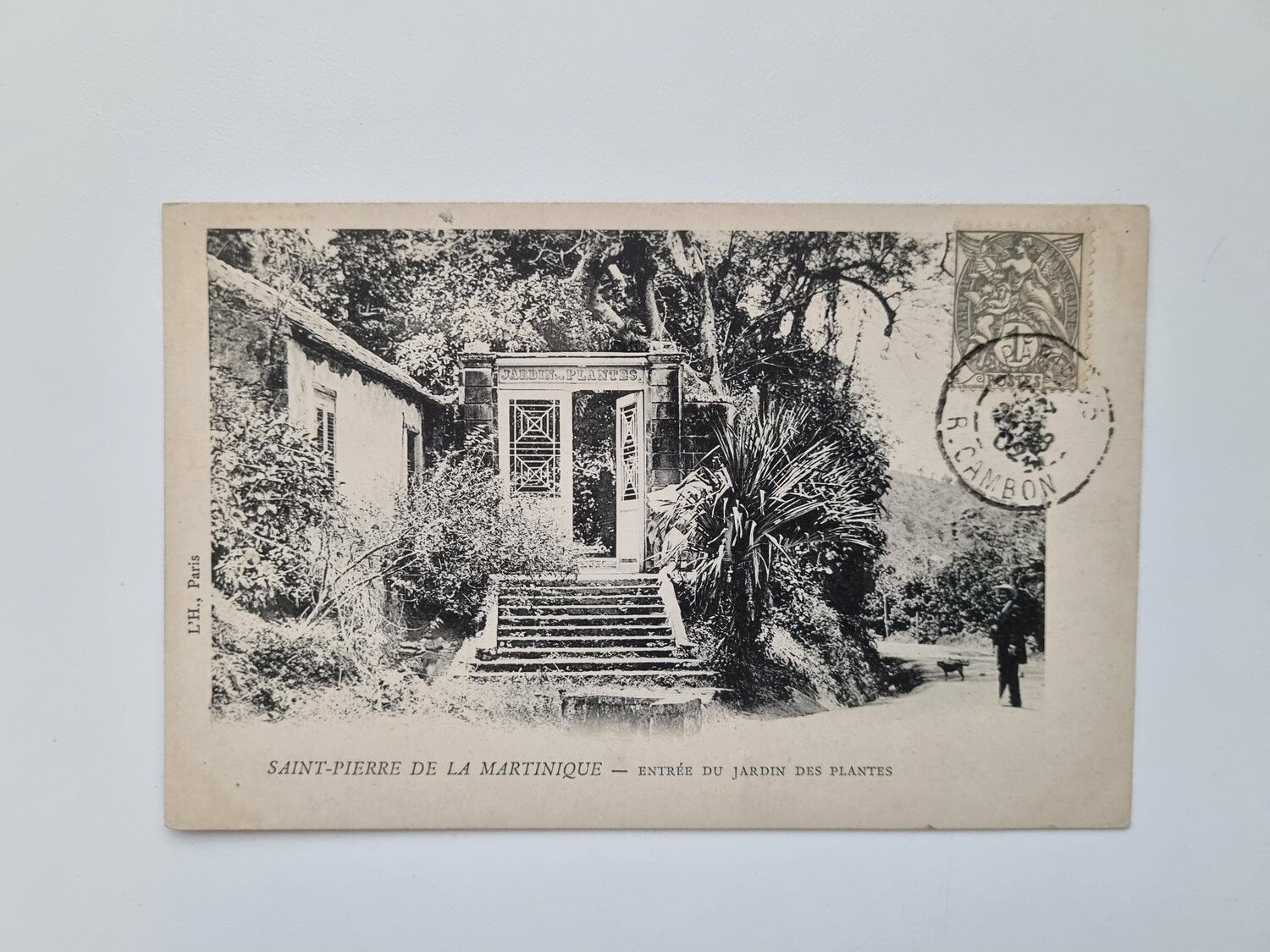 Vykort Jardin des Plantes, 1902?