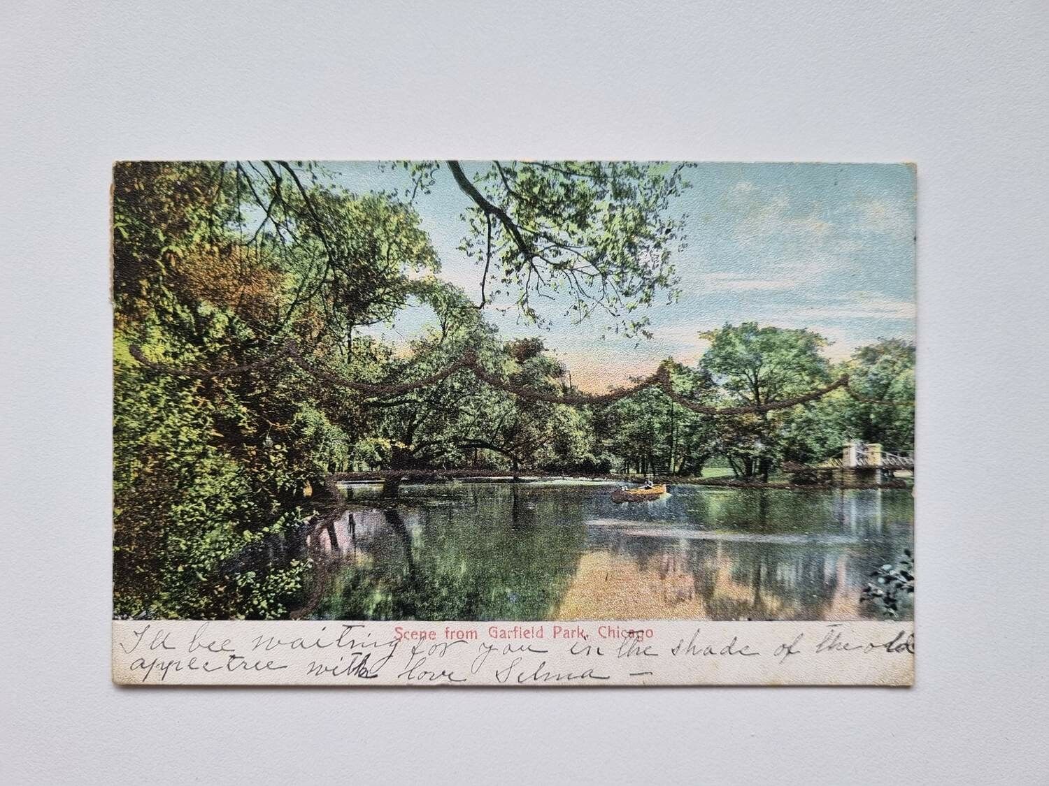 Vykort Garfield Park, Chicago 1906