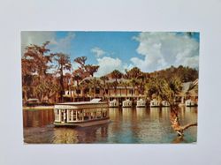 Vykort Silver Springs FLORIDA