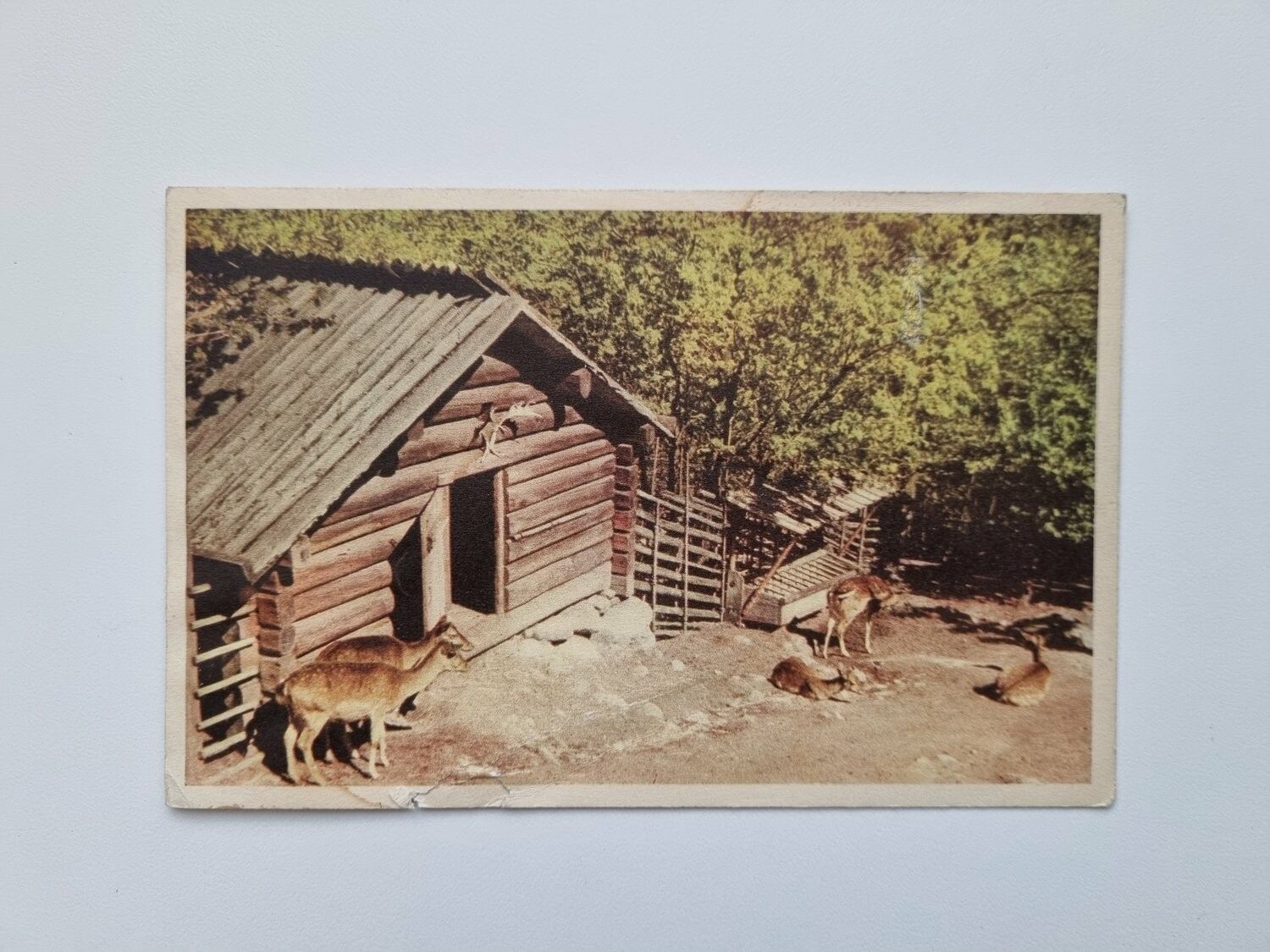 Vykort SKANSEN, STOCKHOLM, 1959