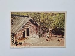 Vykort SKANSEN, STOCKHOLM, 1959