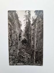 Vykort Skurugata. Småland