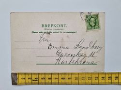 Vykort Skogsinstitutet Stockholm  Signerad, 1903 L Liebenfeld