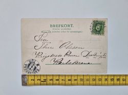 Vykort Stockholm Biologiska Museet 1903