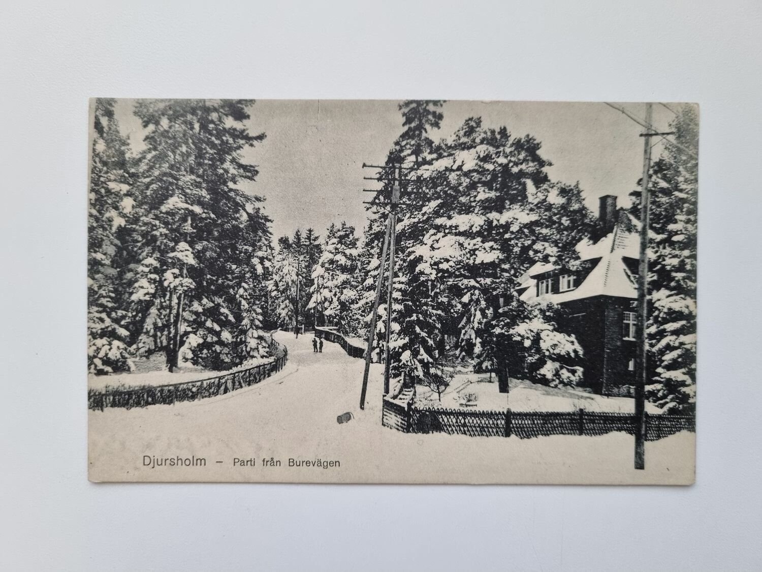 Vykort Djursholm Parti från Burevägen, 1920