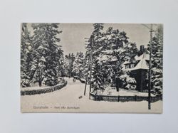 Vykort Djursholm Parti från Burevägen, 1920