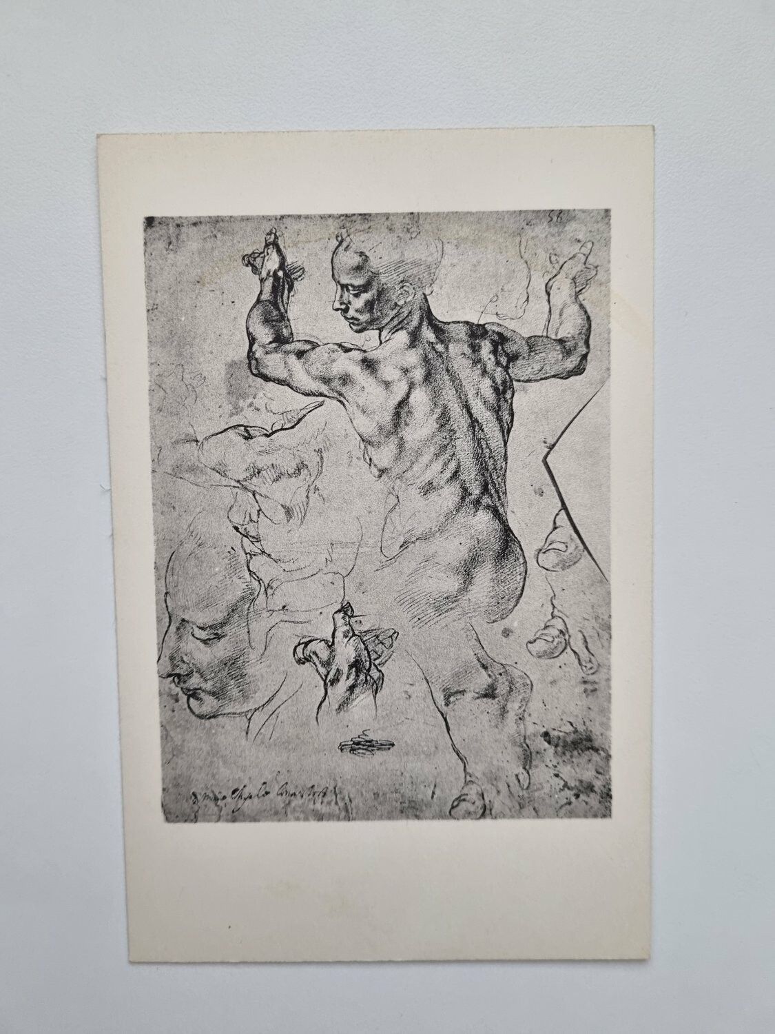 Vykort STUDIES FOR THE LIBYAN SIBYL, SISTINE CEILING