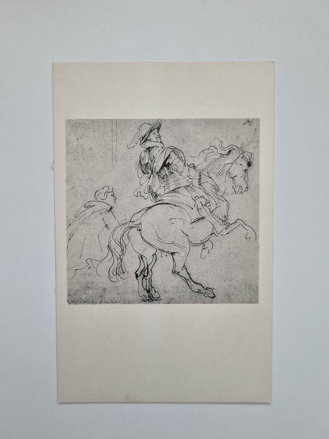 Vykort STUDY OF COUNT ALBERT OF ARENBERG