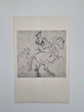 Vykort STUDY OF COUNT ALBERT OF ARENBERG