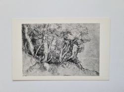 Vykort STUDY OF TREES