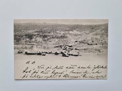 Vykort stämplad 1902