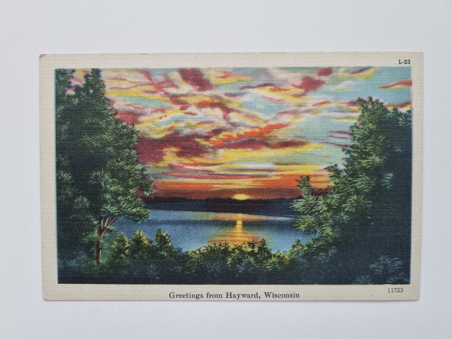 Vykort Greetings from Hayward, Wisconsin