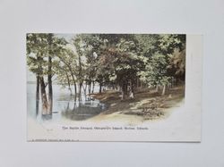 Vykort The Battle Ground. Campbell's Island. Moline, Illinois.
