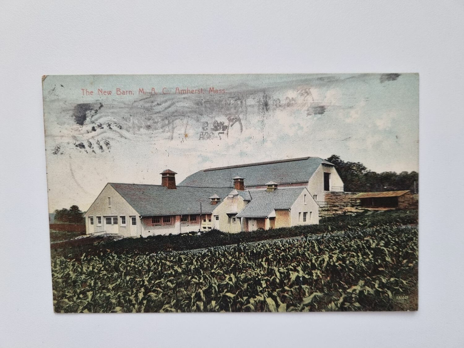 Vykort The New Barn. M. B. C. Amherst, Mass - 1908