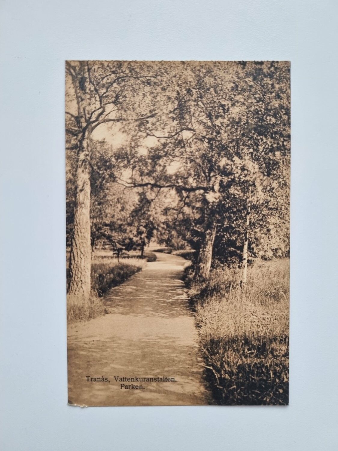 Vykort Tranås Vattenkuranstalten Parken