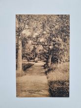 Vykort Tranås Vattenkuranstalten Parken