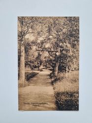 Vykort Tranås Vattenkuranstalten Parken