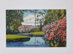 Vykort Tropical Lagoon at Florida Cypress Gardens