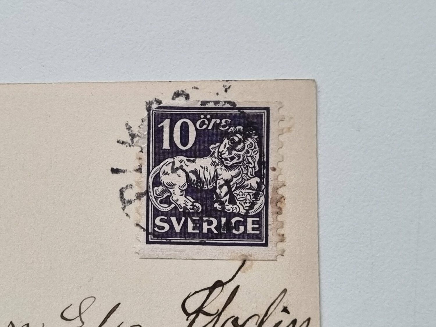 Vykort Uddevalla,  Svanarna i fågeldammen