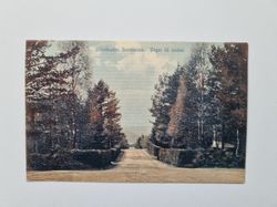 Vykort Ulricehamns Sanatorium. Vägen till staden. 1910
