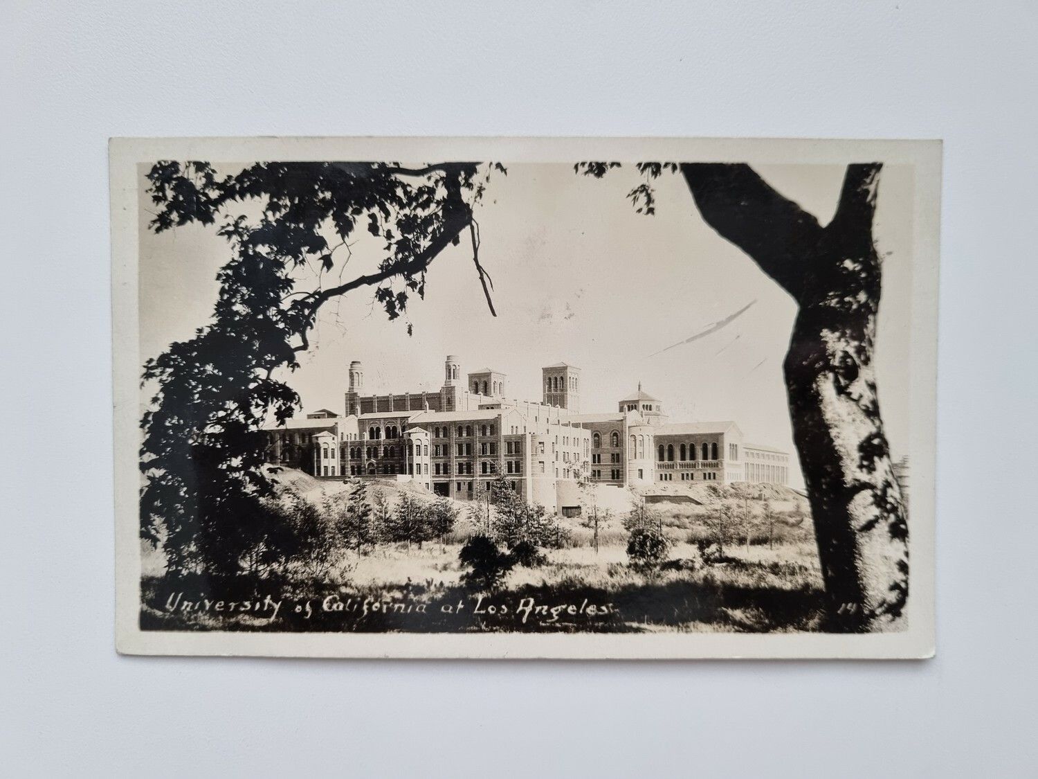Vykort University of California at Los Angeles 1930