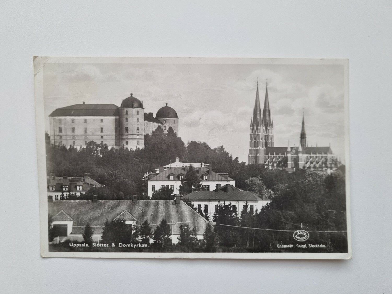 Vykort Uppsala. Slottet & Domkyrkan