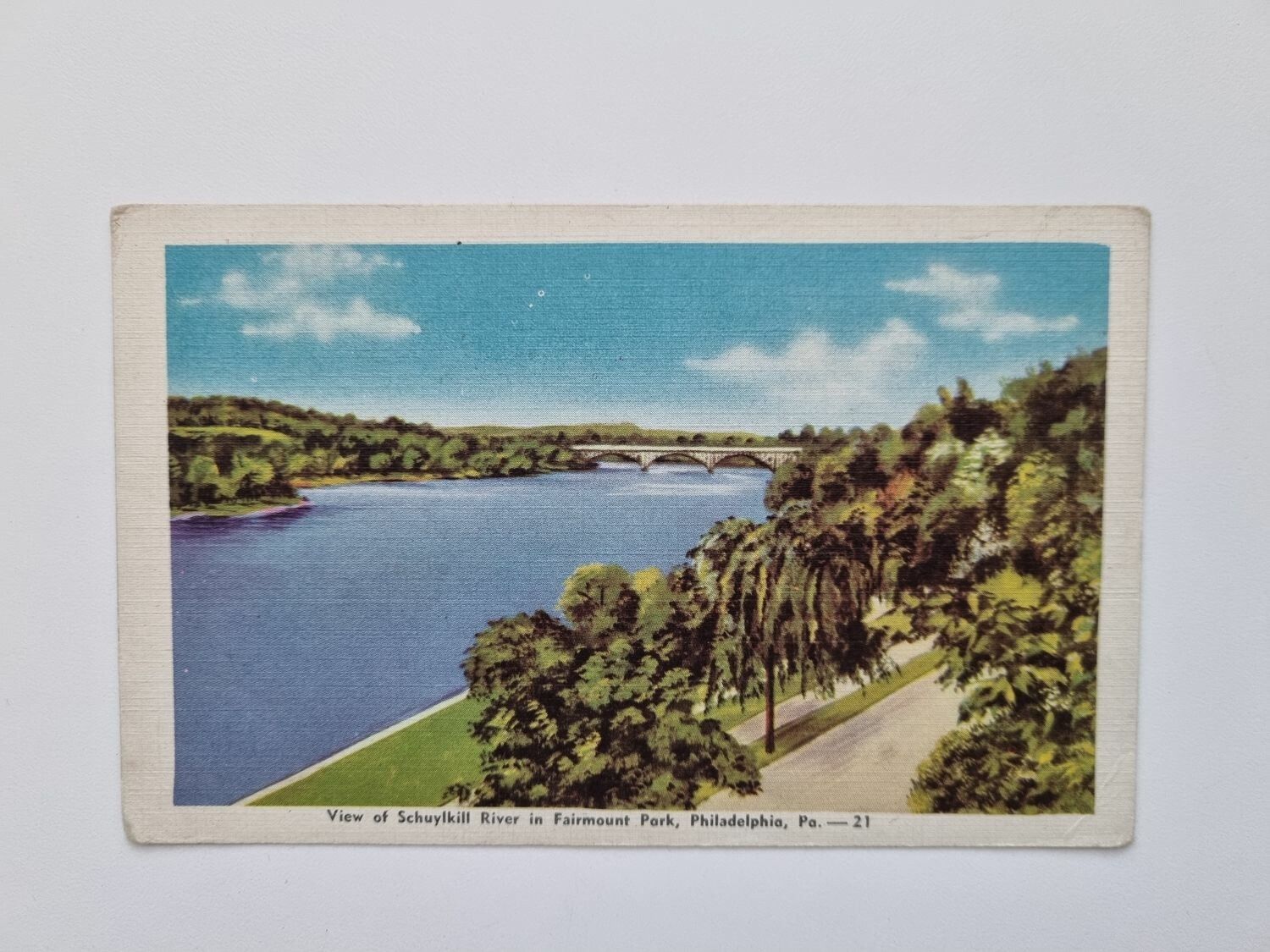 Vykort View of Schuylkill River in Fairmount Park