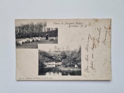 Vykort Views in Prospect Park, Brooklyn. N. Y