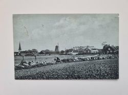 Vykort Väsby, kullabygden 1917