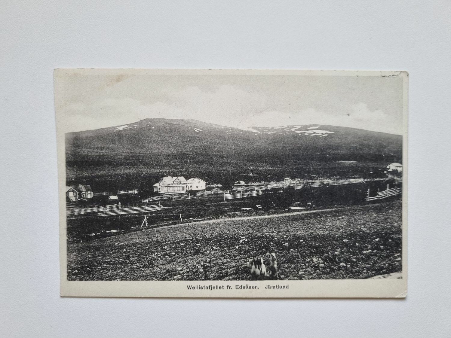 Vykort Wellistafjellet fr. Edsåsen. Jämtland