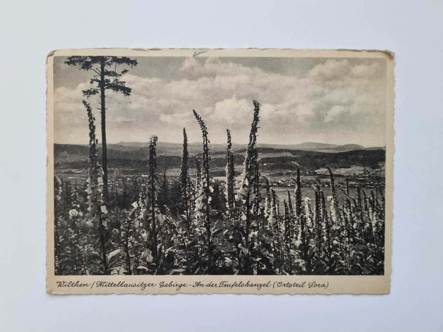 Vykort Wilthen Mittellausitzer Gebirge