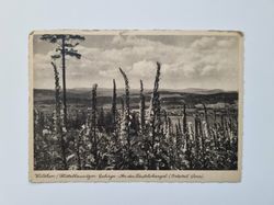 Vykort Wilthen Mittellausitzer Gebirge