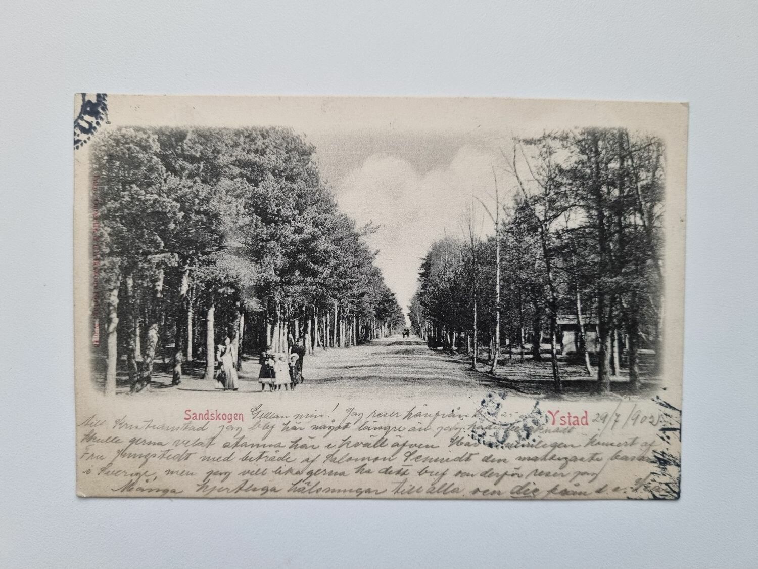 Vykort Ystad Sandskogen 1902