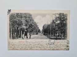 Vykort Ystad Sandskogen 1902