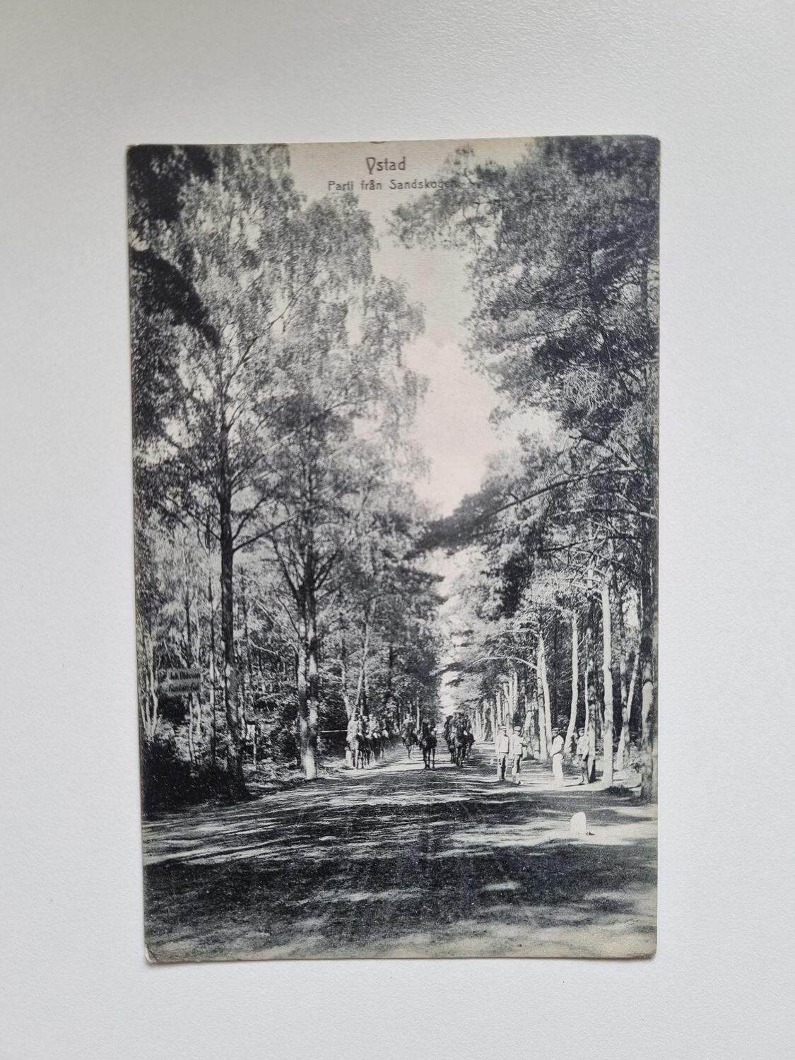 Vykort Ystad, Sandskogen 1910