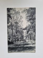Vykort Ystad, Sandskogen 1910