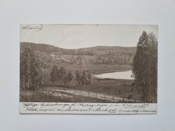 Vykort över skog med sjö
