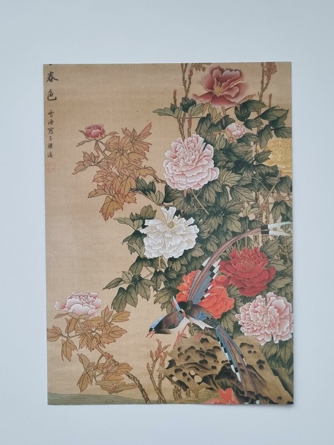 Vykort - Fåglar och blommor