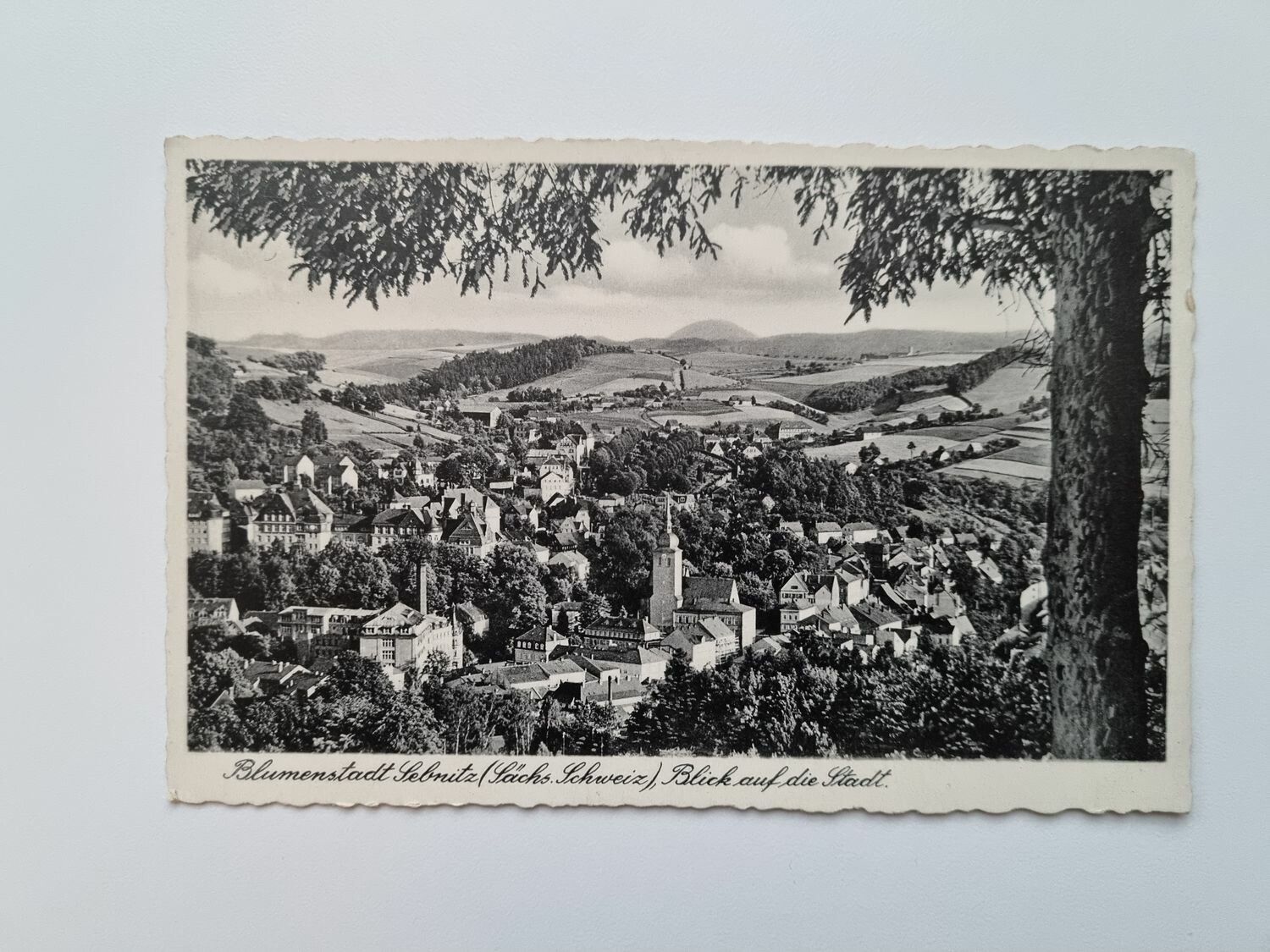 Äldre vykort Blumenstadt Sebnitz (Sachs Schweiz), Blick auf die Stadt.