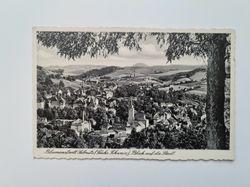 Äldre vykort Blumenstadt Sebnitz (Sachs Schweiz), Blick auf die Stadt.