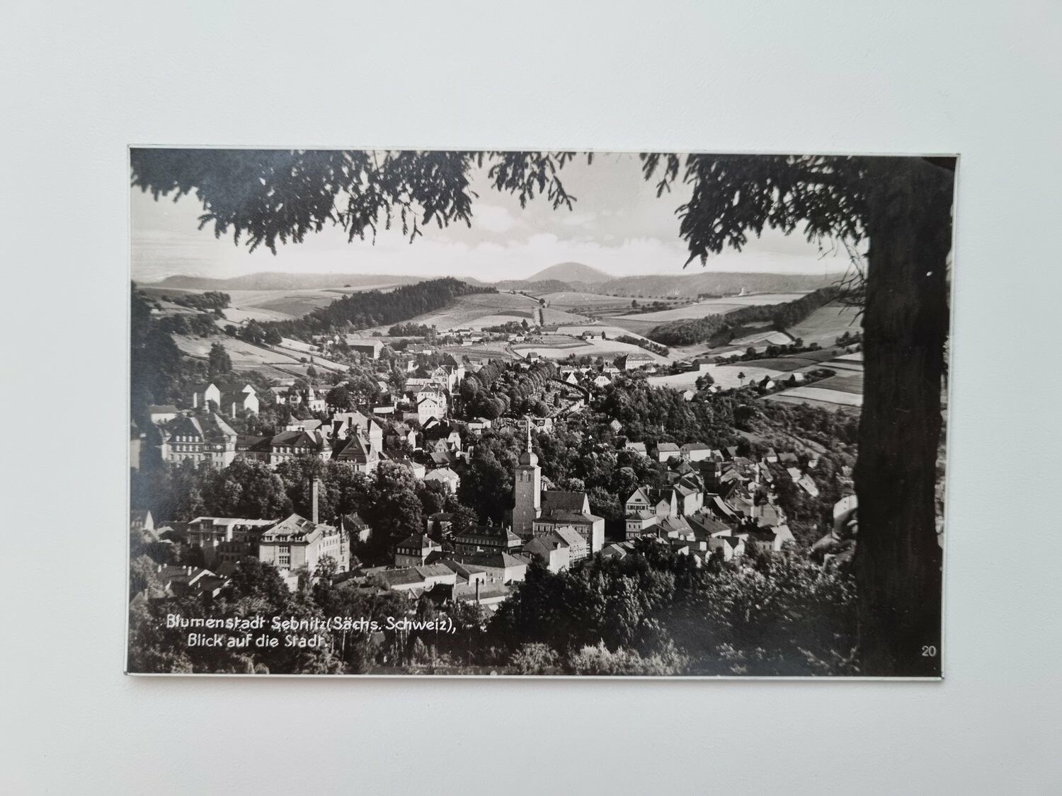 Äldre vykort Blumenstadt Sebnitz (Sächs. Schweiz)
