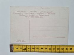 Äldre vykort Chillon mit Dent du Midi