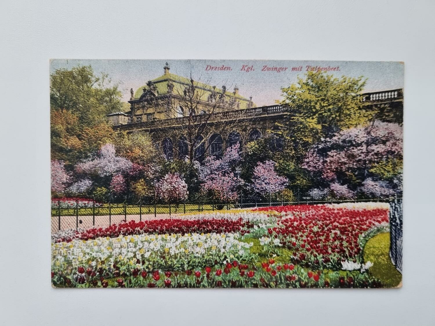 Äldre vykort Dresden. Kgl. Zwinger mit Tulpenbeet