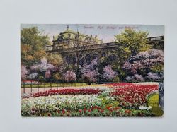 Äldre vykort Dresden. Kgl. Zwinger mit Tulpenbeet