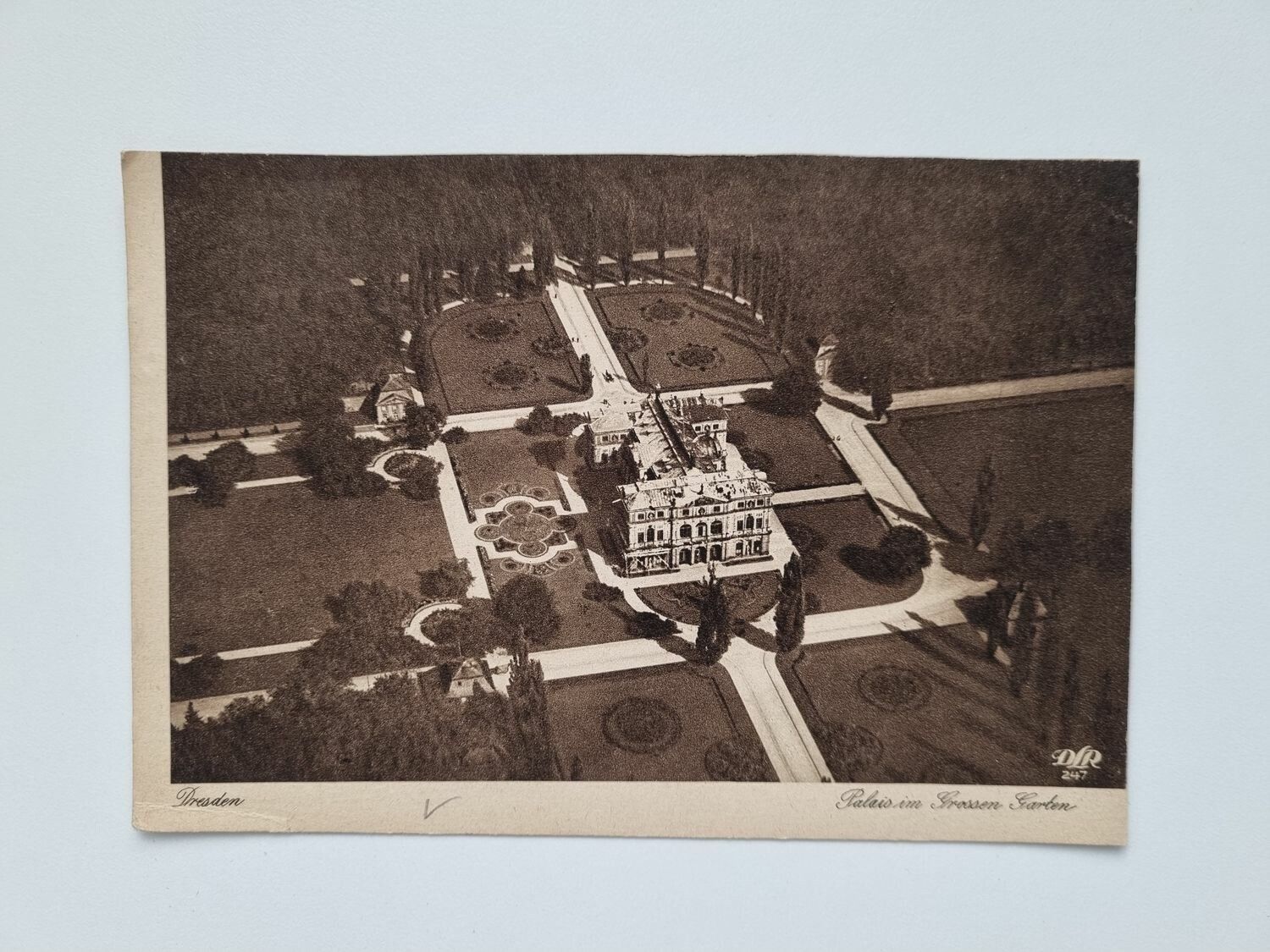 Äldre vykort Dresden